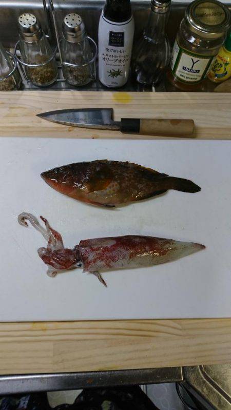 ショアスローで