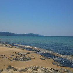 丹後サーフのシロギス