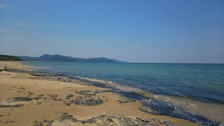 丹後サーフのシロギス