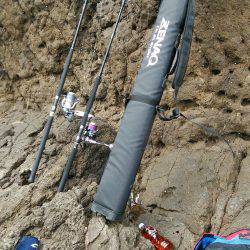 久しぶりの青物