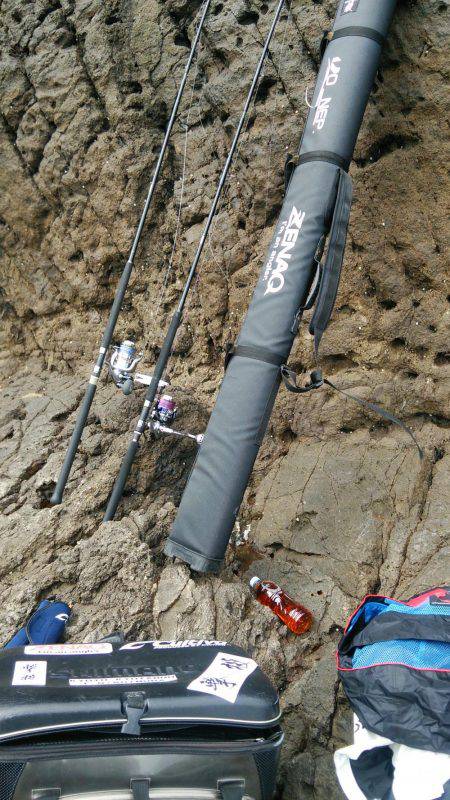 久しぶりの青物