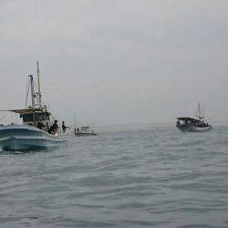 鯛爆釣❗タコも爆釣❗