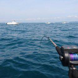 梅雨の晴れ間に