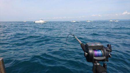 梅雨の晴れ間に