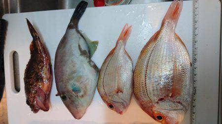 ウミック手漕ぎボート❕