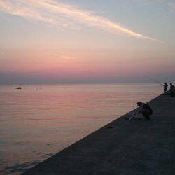 炬口でいろんな種類が釣れてます。