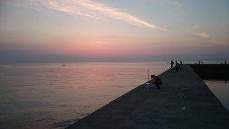 炬口でいろんな種類が釣れてます。