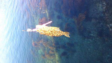 ジギングのはずが、、、