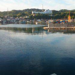 富島港朝のパトロール