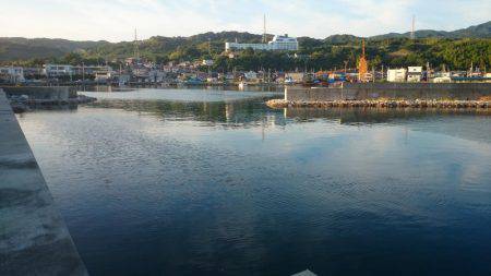 富島港朝のパトロール