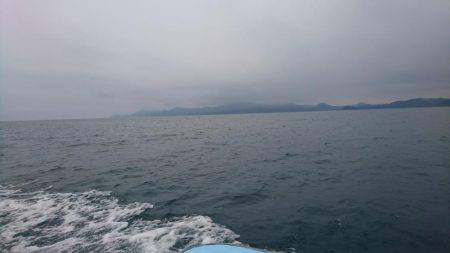 ボートエギング