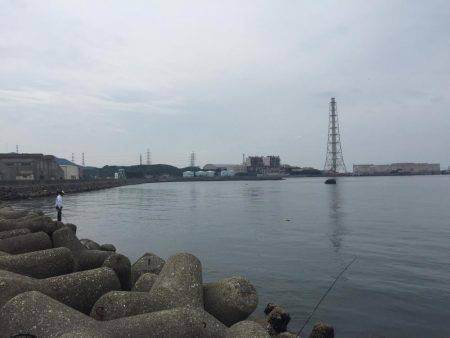 ツバス初ゲット