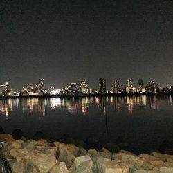 キビレ調査　ＮＯ，２５