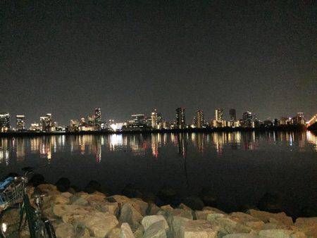 キビレ調査　ＮＯ，２５