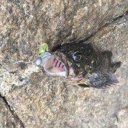 出張先での休日