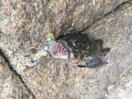 出張先での休日