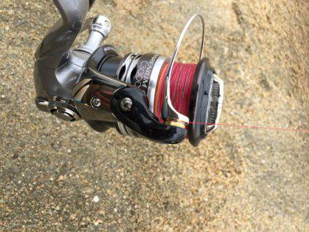 キスが釣りたい