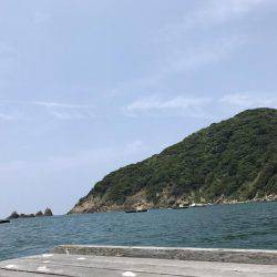 小浜の筏でショアジギ