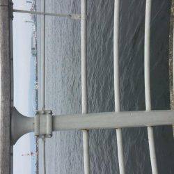 サイズちょい上がってきたかな