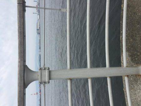 サイズちょい上がってきたかな