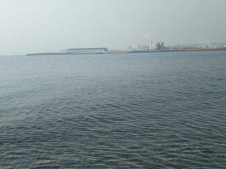 那賀川河口でマゴチ