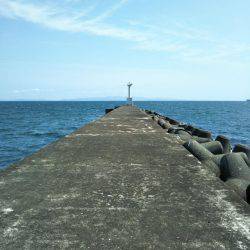 阿南市の大野突堤でマゴチ