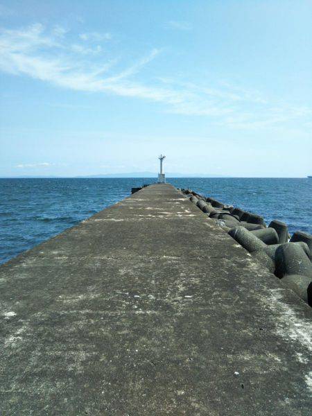 阿南市の大野突堤でマゴチ