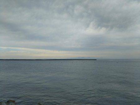 阿南市の辰巳でマゴチ