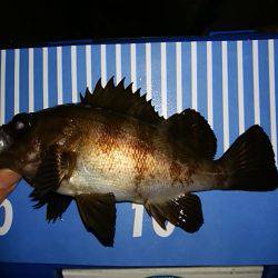 穴釣りのちメバリング