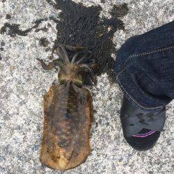 強風で夜まで我慢の釣り