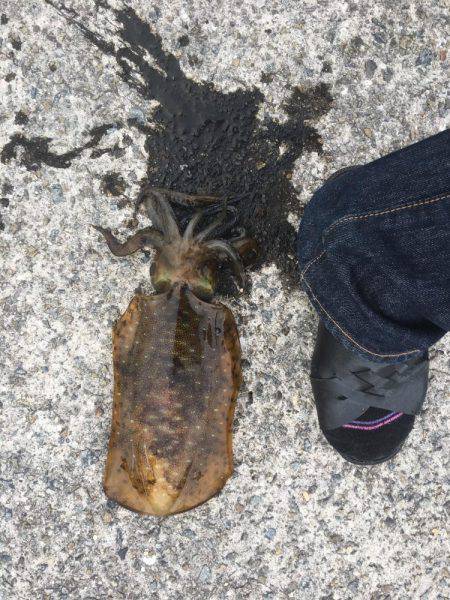 強風で夜まで我慢の釣り