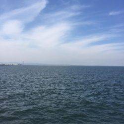 シャクリシャクリ