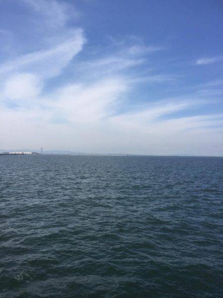 シャクリシャクリ