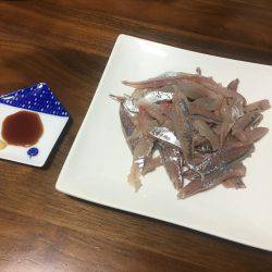 みなとみらい アジング