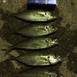 強風の中で……