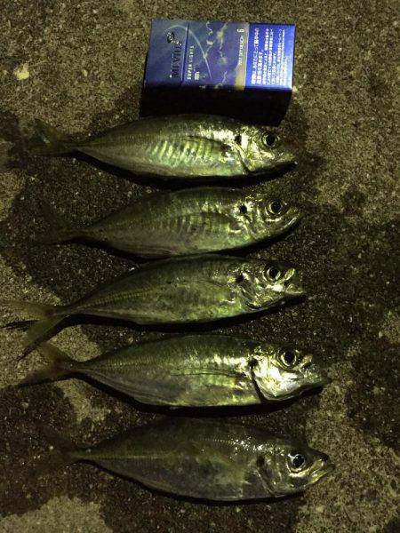 強風の中で……