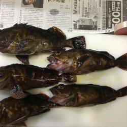 泉州ライトワインド