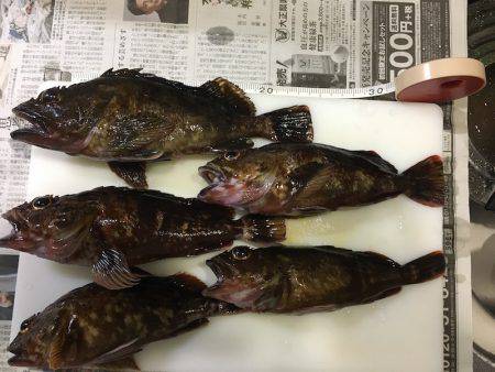 泉州ライトワインド