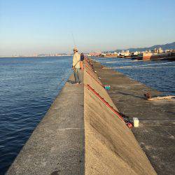 武庫川一文字でシーバス・サゴシ