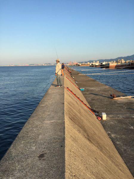 武庫川一文字でシーバス・サゴシ