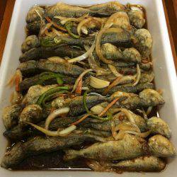 アジ釣り⑩ 久しぶりに楽しめました！