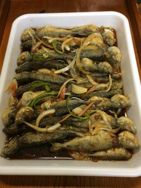 アジ釣り⑩ 久しぶりに楽しめました！