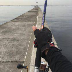 ツバスの時合い