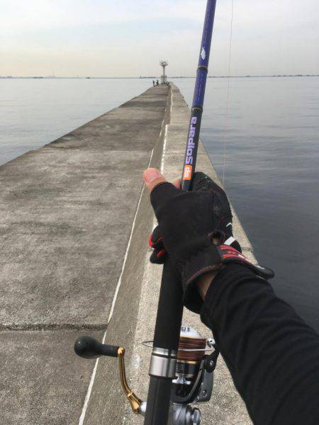 ツバスの時合い