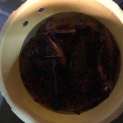 今期最後のロック便