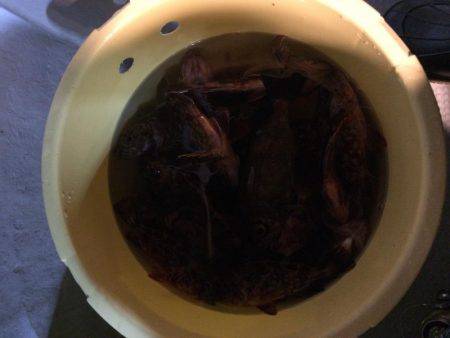 今期最後のロック便