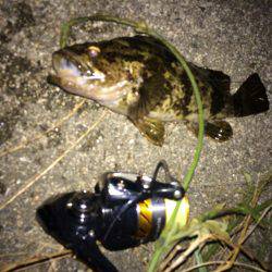 西風ポイントにて