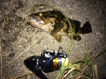 西風ポイントにて