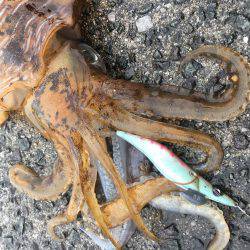 ２キロアップ！