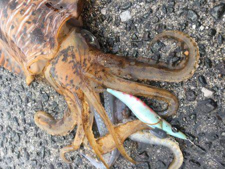 ２キロアップ！